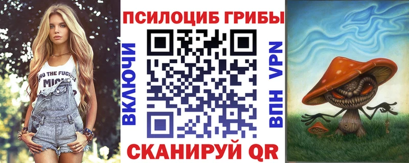 Псилоцибиновые грибы Magic Shrooms  сколько стоит  Дальнереченск 