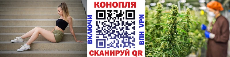 Бошки марихуана VHQ Дальнереченск
